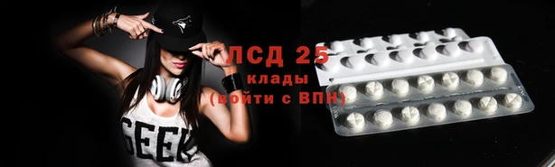 ГАЛЛЮЦИНОГЕННЫЕ ГРИБЫ Зеленодольск