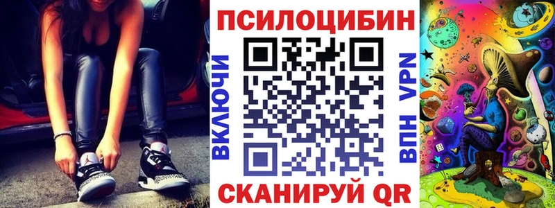 Галлюциногенные грибы Magic Shrooms  Купить закладки  Верхний Тагил 
